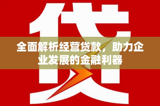 永福全面解析经营贷款，助力企业发展的金融利器