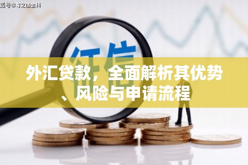永福外汇贷款，全面解析其优势、风险与申请流程