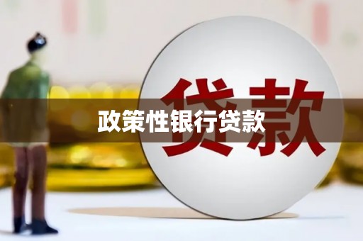 永福政策性银行贷款