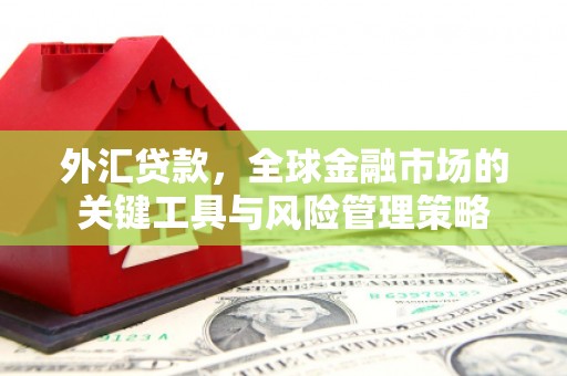 永福外汇贷款，全球金融市场的关键工具与风险管理策略