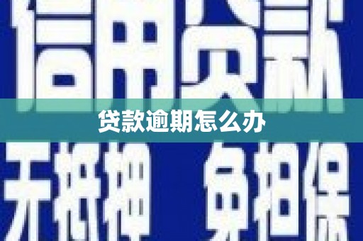 永福贷款逾期怎么办