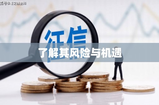 永福了解其风险与机遇