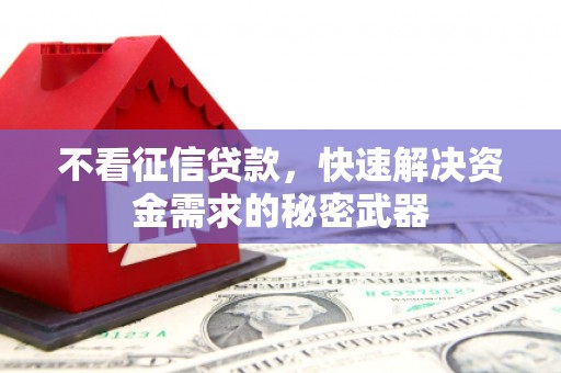 永福不看征信贷款，快速解决资金需求的秘密武器