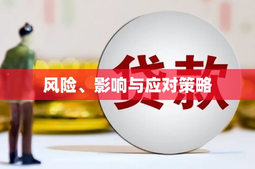 永福风险、影响与应对策略