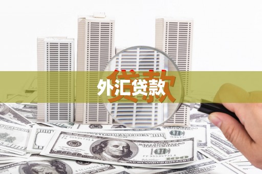 永福外汇贷款