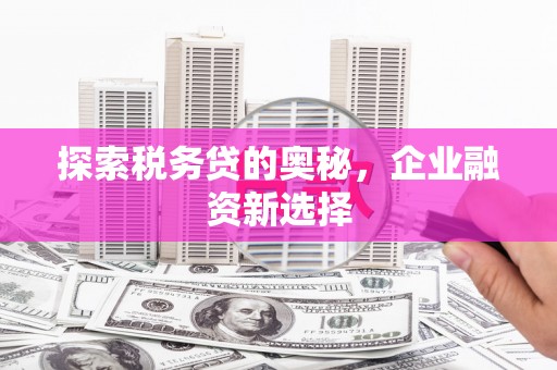 永福探索税务贷的奥秘，企业融资新选择