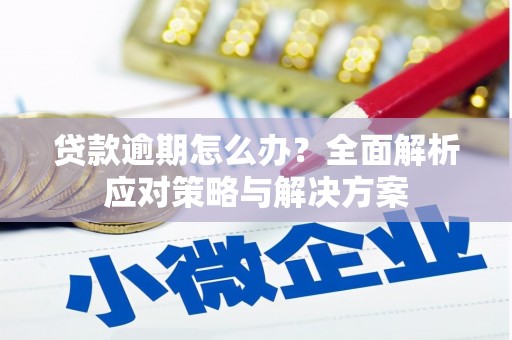 永福贷款逾期怎么办？全面解析应对策略与解决方案