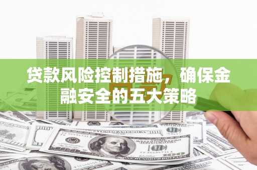 永福贷款风险控制措施，确保金融安全的五大策略