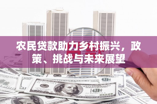 永福农民贷款助力乡村振兴，政策、挑战与未来展望