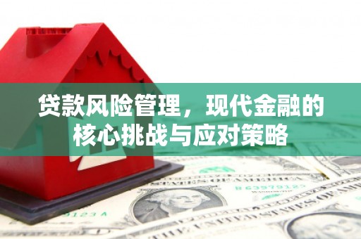 永福贷款风险管理，现代金融的核心挑战与应对策略