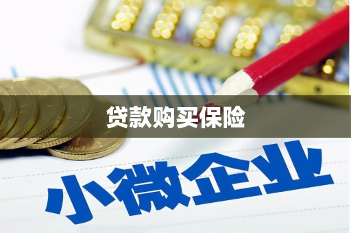 永福贷款购买保险