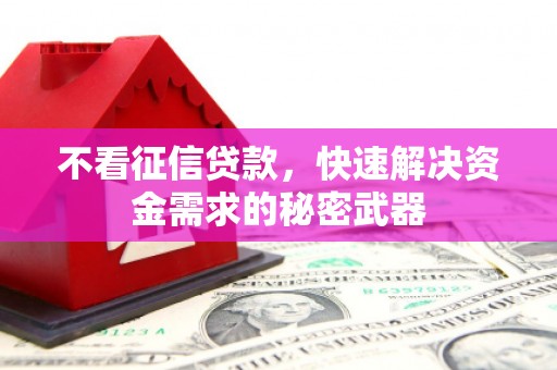 永福不看征信贷款，快速解决资金需求的秘密武器