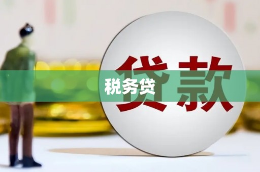 永福税务贷