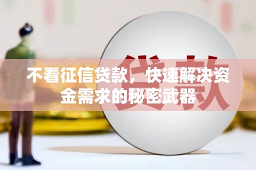 永福不看征信贷款，快速解决资金需求的秘密武器
