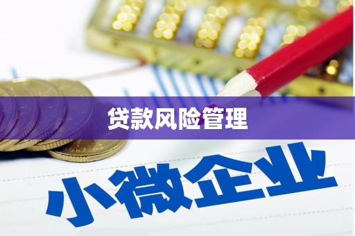 永福贷款风险管理
