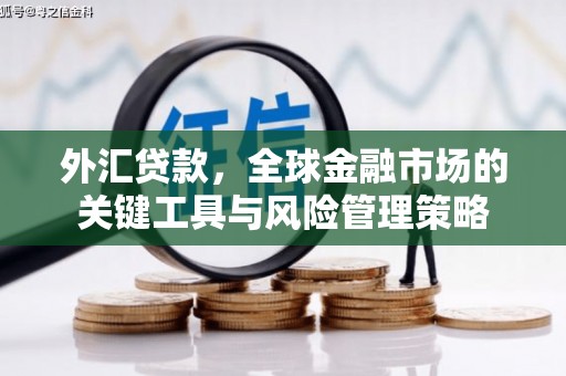 永福外汇贷款，全球金融市场的关键工具与风险管理策略
