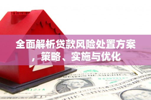 永福全面解析贷款风险处置方案，策略、实施与优化