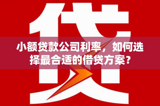 永福小额贷款公司利率，如何选择最合适的借贷方案？