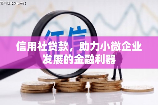 永福信用社贷款，助力小微企业发展的金融利器