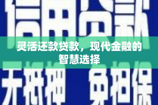 永福灵活还款贷款，现代金融的智慧选择