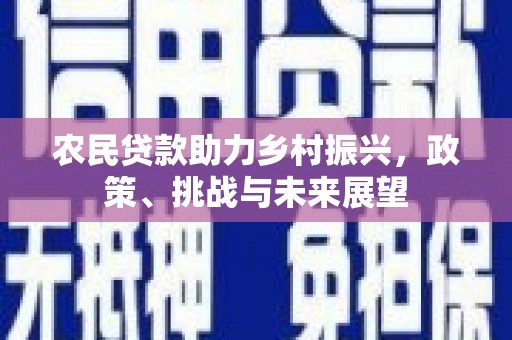 永福农民贷款助力乡村振兴，政策、挑战与未来展望