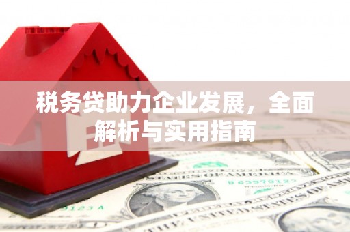 永福税务贷助力企业发展，全面解析与实用指南
