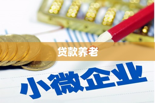 永福贷款养老