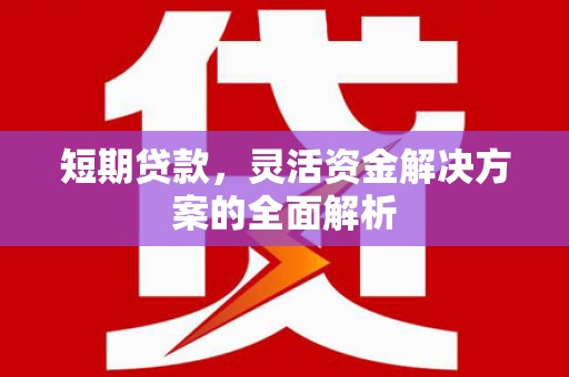 永福短期贷款，灵活资金解决方案的全面解析