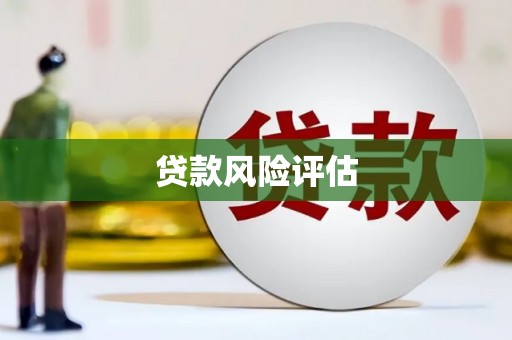 永福贷款风险评估