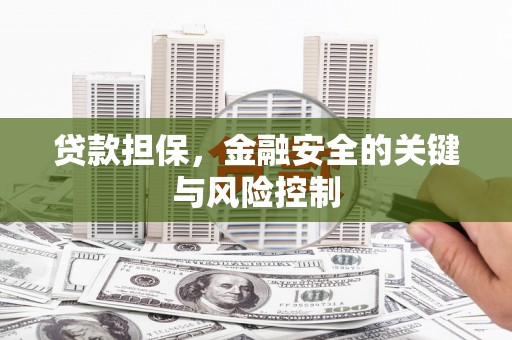 永福贷款担保，金融安全的关键与风险控制